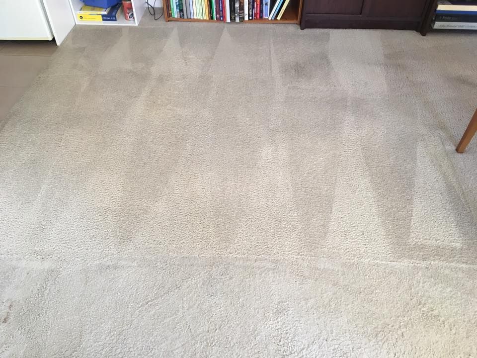 Carpet Stain Removal After