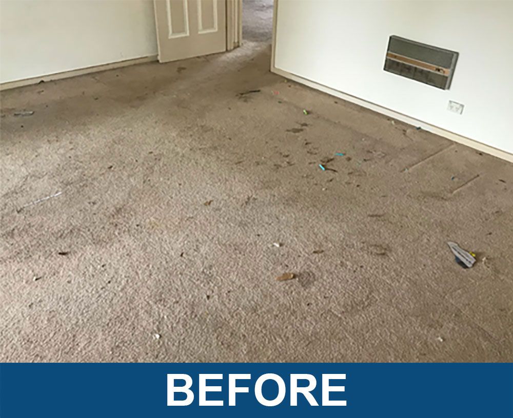 Act Carpet Before Carpet Cleaning