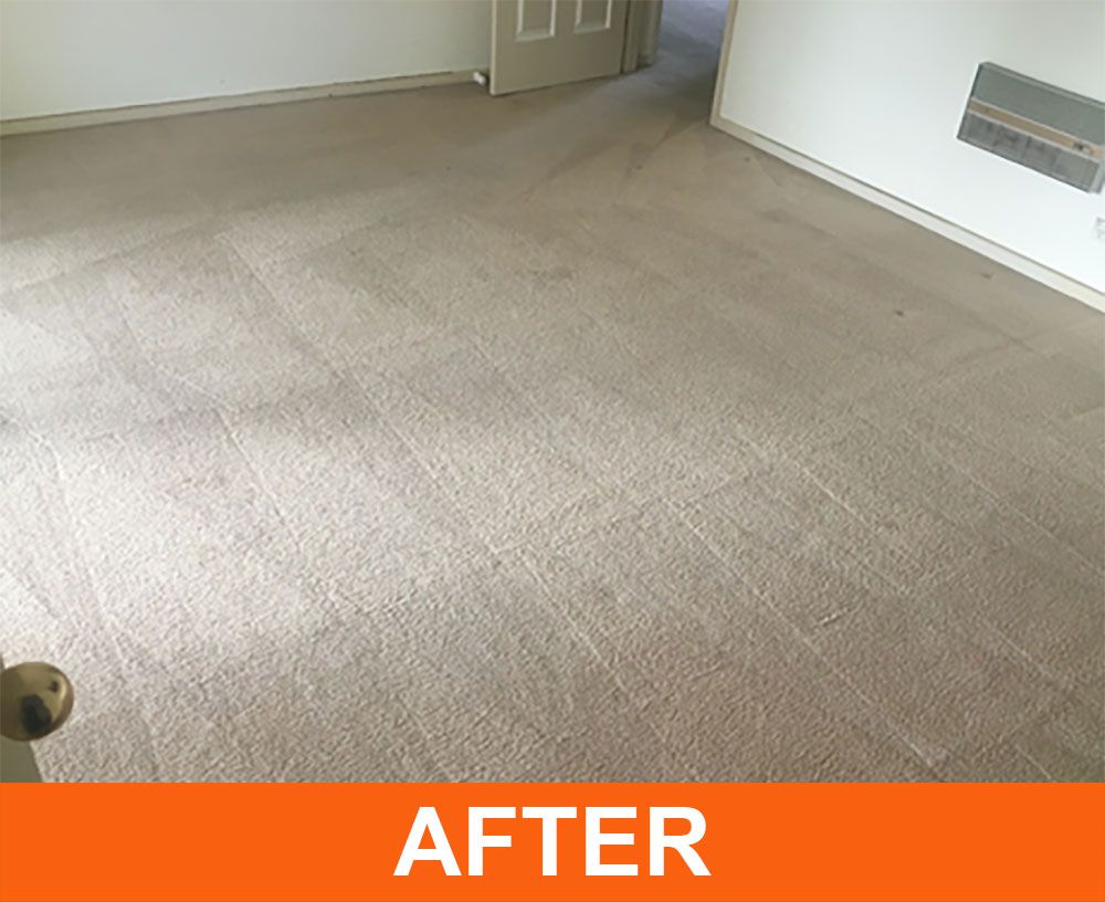 Act Carpet After Carpet Cleaning