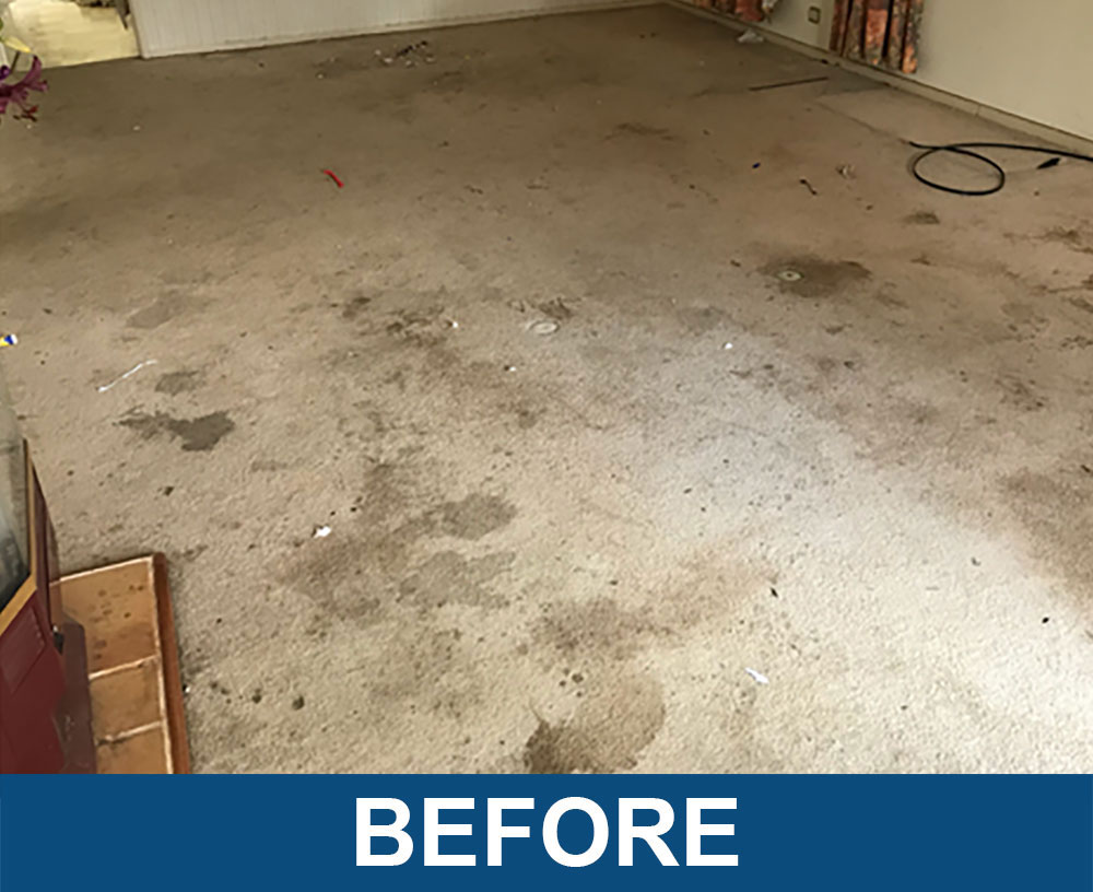 Act Carpet Before Carpet Cleaning