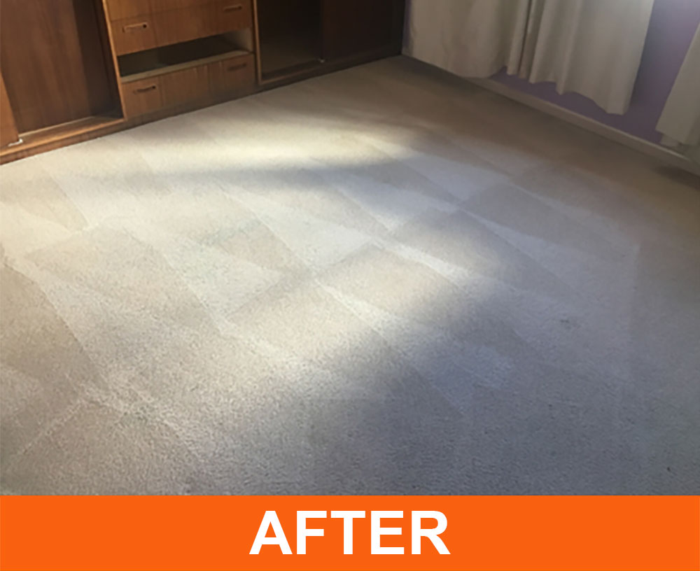 ACT Carpet After Carpet Cleaning 1